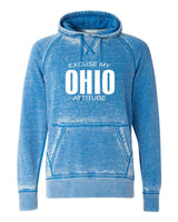 EXCUSE MY OHIO ATTITUDE SOFTSTYLE VINTAGE HOODIE