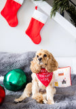 “Too Cute for the Naughty List” Holiday Dog Bandana, S/M