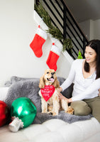 “Too Cute for the Naughty List” Holiday Dog Bandana, S/M